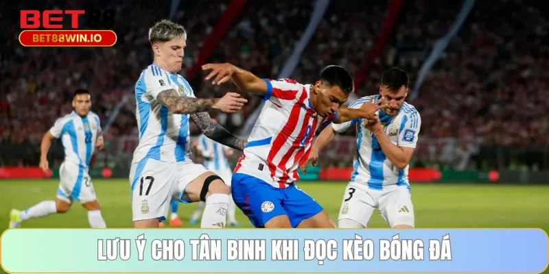 Lưu ý cho tân binh khi đọc kèo bóng đá Bet88 
